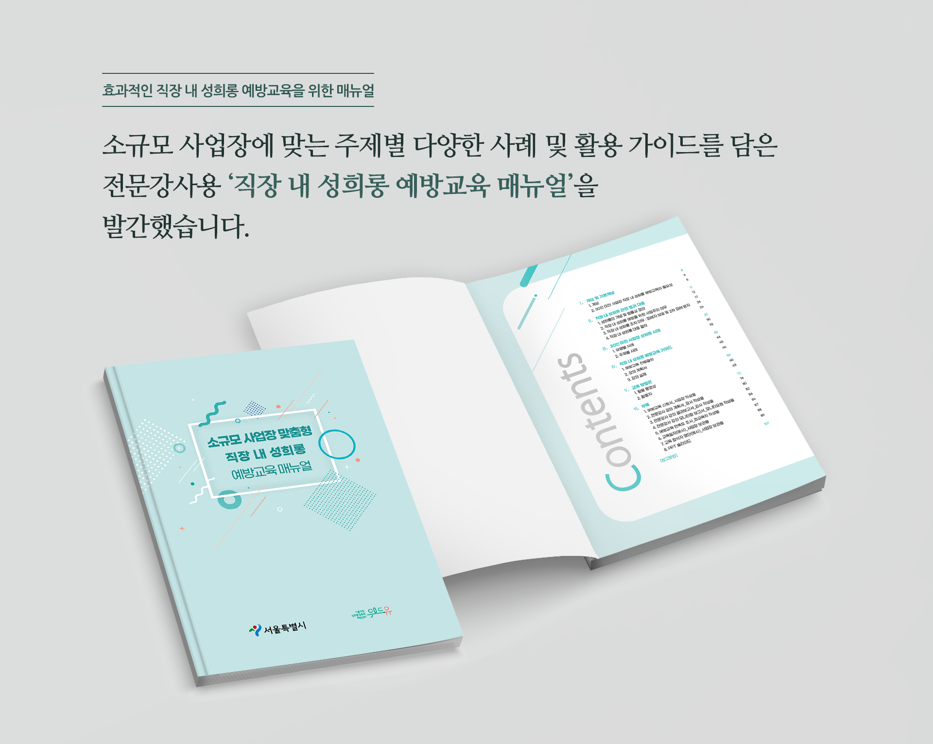 효과적인 직장 내 성희롱 예방교육을 위한 매뉴얼 소규모 사업장에 맞는 주제별 다양한 사례 및 활용 가이드를 담은 전문강사용 직장 내 성희롱 예방교육 매뉴얼을 발간했습니다. 소규모 사업장 맞춤형 직장 내 성희롱 예방교육 매뉴얼. 서울특별시, 위드유 서울직장성희롱성폭력예방센터