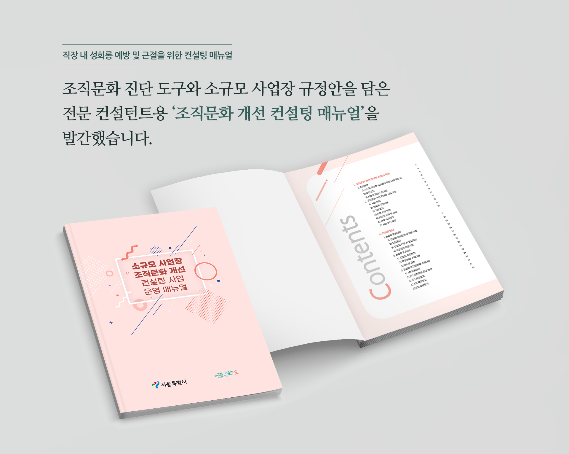 직장 내 성희롱 예방 및 근절을 위한 컨설팅 매뉴얼 조직문화 진단 도구와 소규모 사업장 규정안을 담은 전문 컨설턴트용 조직문화 개선 컨설팅 매뉴얼을 발간했습니다. 소규모 사업장 조직문화 개선 컨설팅 사업 운영 매뉴얼. 서울특별시, 위드유 서울직장성희롱성폭력예방센터